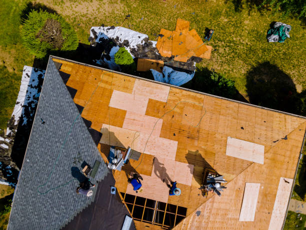 Best Storm Damage Roof Repair  in Demarest, NJ